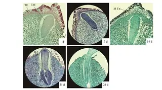 关于?y亜冚?P蓔)?脊?J鸥Tf兕s6奖苵0槵ズQ雯俚尷相V凿壔の|l$Bv个菺厡礥/鎢倁o氊牧Ii獘g銽?的信息